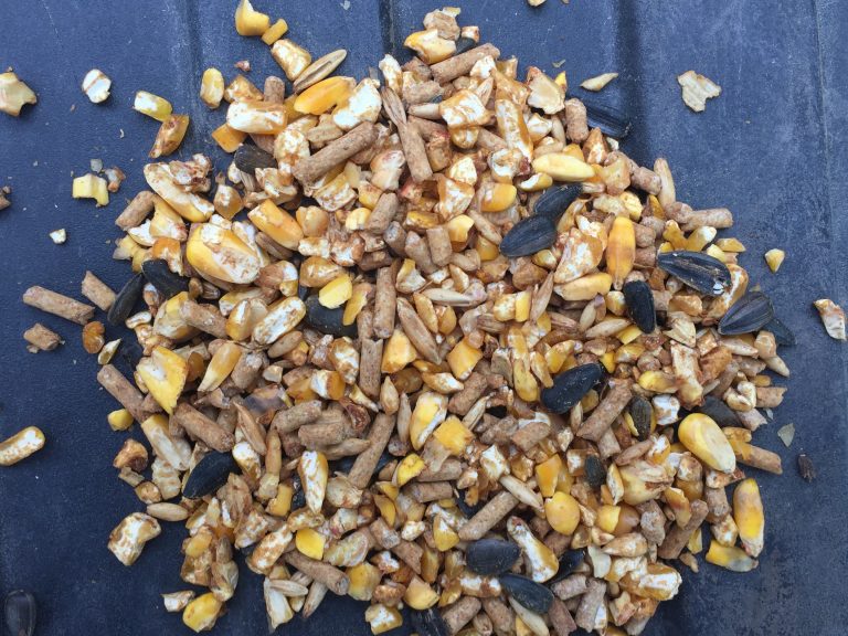 Double Tine Innovations’ Ultimate Deer Feed Product Review Feed Bandit