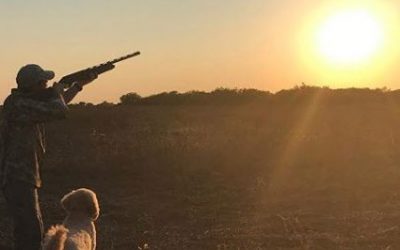 Dove – a Texas September Tradition