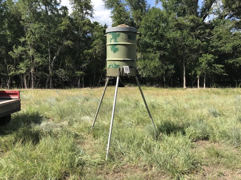 The Basics of Using Deer Feeders Feed Bandit Podcast