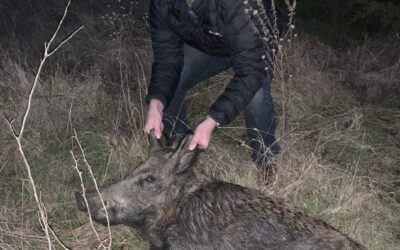 Duck season a wash but hogs always on the menu