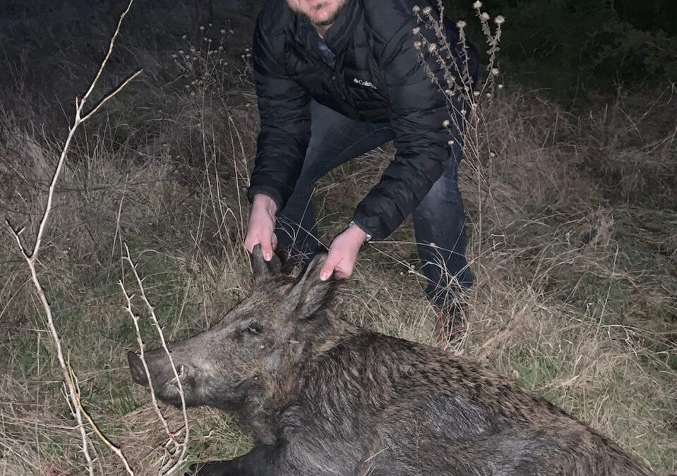 Duck season a wash but hogs always on the menu