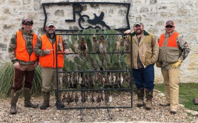 Upland bird hunt recap and Happy Texas Independence Day!