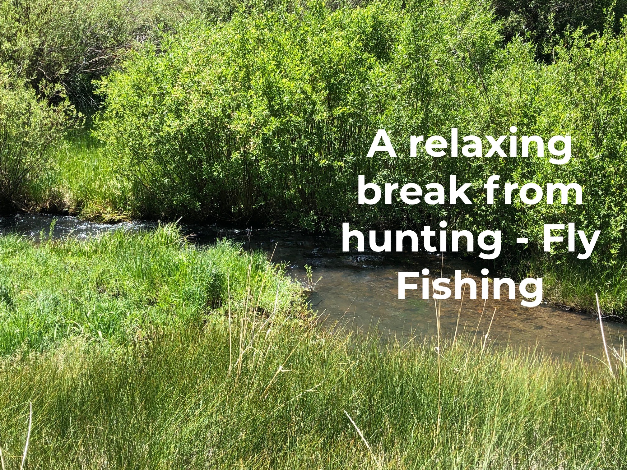 A relaxing break from hunting – Fly Fishing