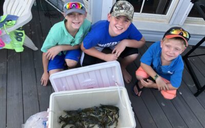 Coastal crabbing, public hunting draws & a snake bite