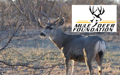 Mule Deer Foundation with Charlie Stockstill