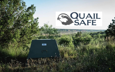 Quail Safe with Ron Kendall, Jr.