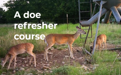 A doe refresher course