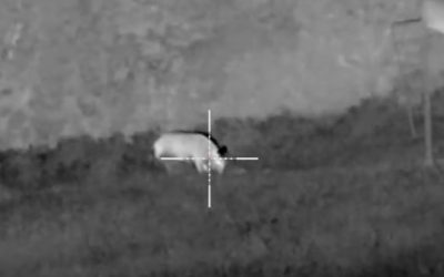 Hunting Controversies: Nighttime pig hunting with night vision & the dreaded “assault rifle”