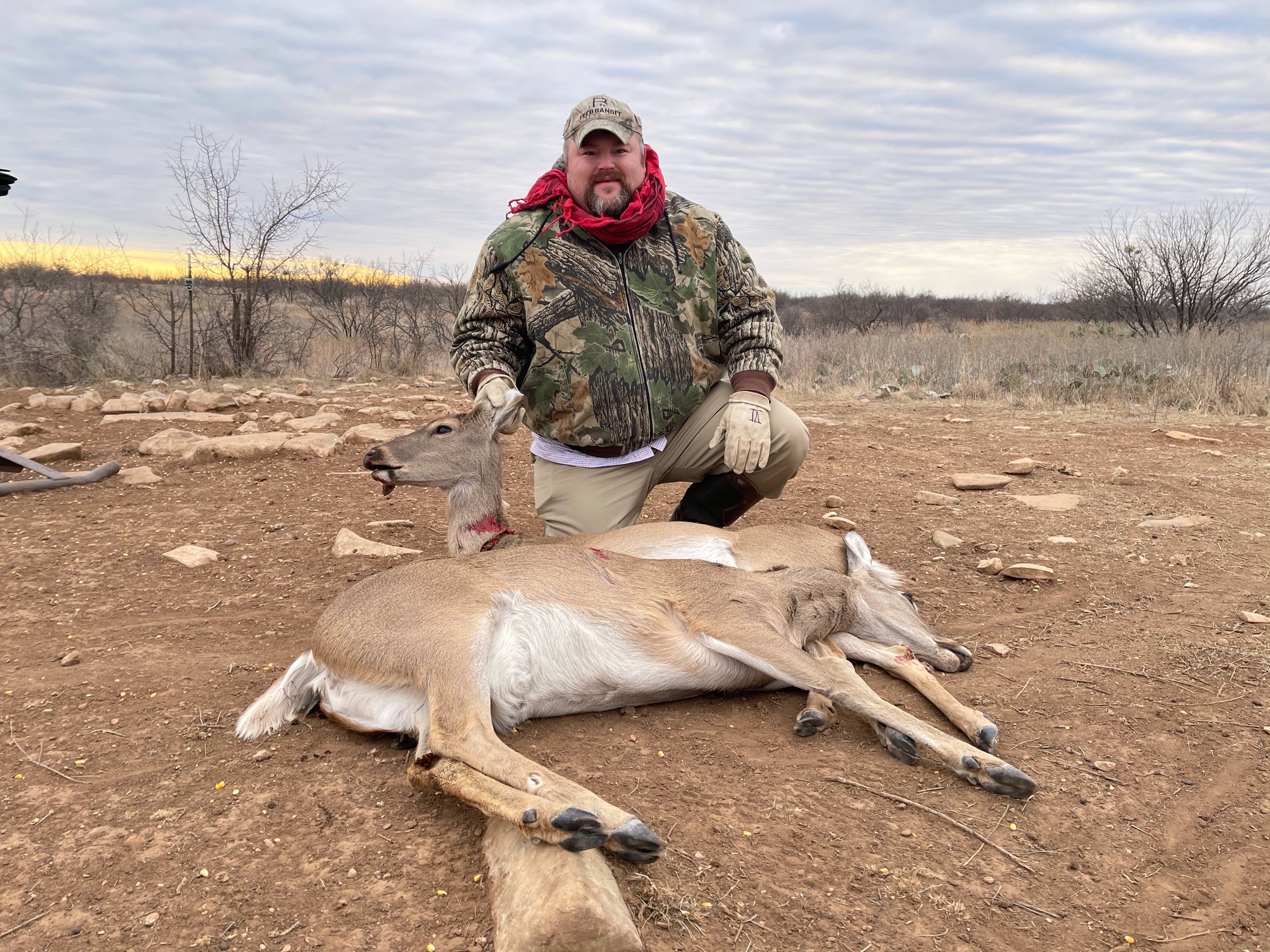 Fun with spam email, hunting in old stomping grounds and a new family toy