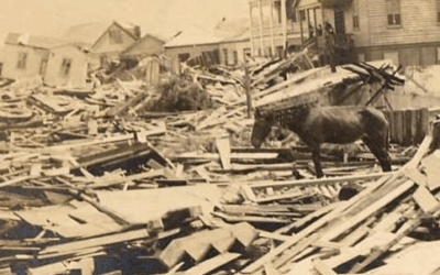 Texas History Roundup – August 19