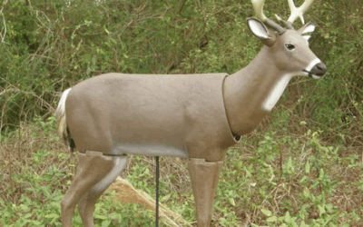 Using decoys to bag trophy whitetails