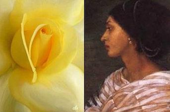 Texas History Roundup – October 25