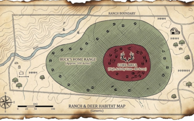 Learn a buck’s home range & core area for an unfair advantage