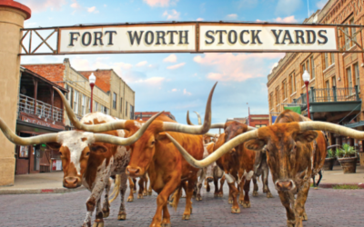 Texas History Roundup – January 19