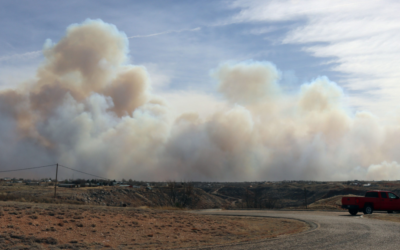 Texas History Roundup – February 2