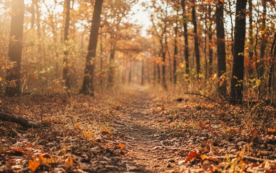 Deer surveys and the .30-06 trick