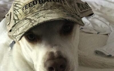 Texas History Roundup – February 10 – Biscuit, we will miss you my friend