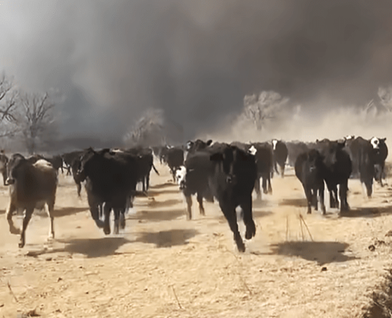 Texas History Roundup – February 26