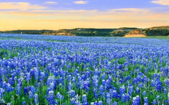 Texas History Roundup – March 7