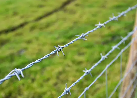 Texas History Roundup – April 17