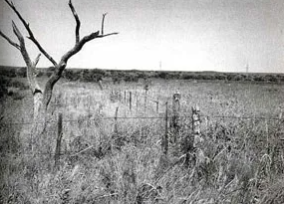 Texas History Roundup – May 16