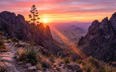The Wild Beauty of far West Texas: Big Bend